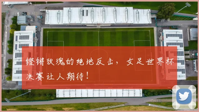 铿锵玫瑰的绝地反击，女足世界杯决赛让人期待！